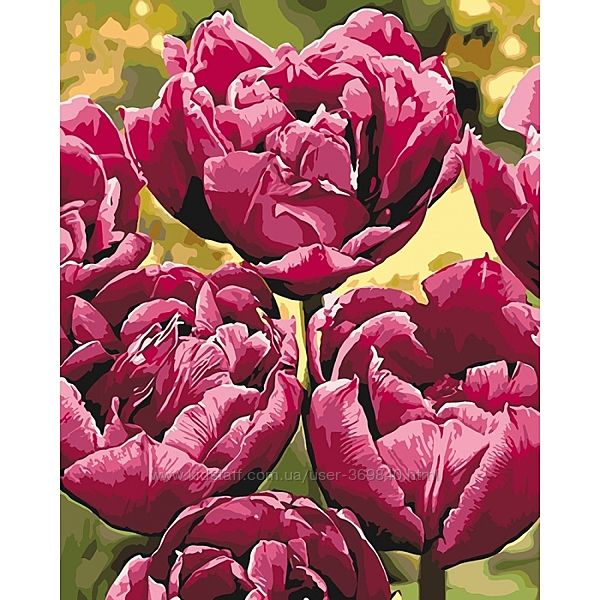 картины по номерам в наличии