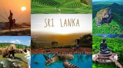 Лучшие отели Шри Ланки по самым привлекательным ценам