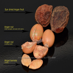 #2: Орех арган.дерева