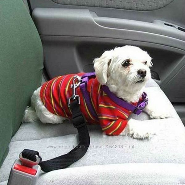 Ремень безопасности для собак и котов в автомобиль