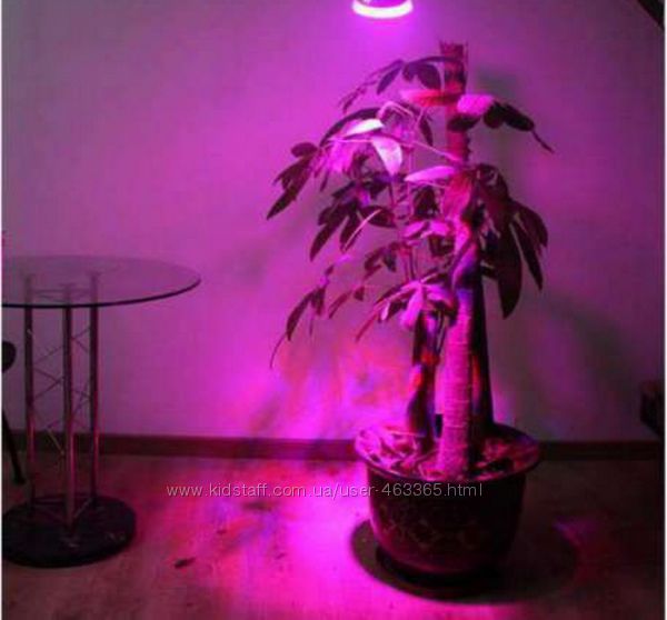Фитолампа, лампочка для растений , рассада 10W