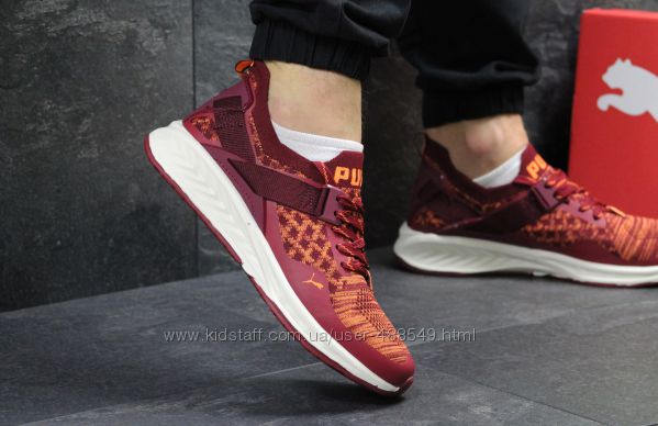 Кроссовки Puma Ignite Evoknit burgundyorange