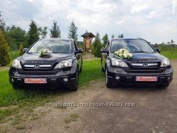 Прокат Оренда Авто на Весілля Honda CR-V- PRADO