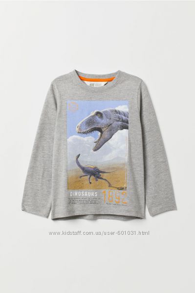 H&M регланы новые  с принтом динозавры от 2 до-10 лет Оригинал