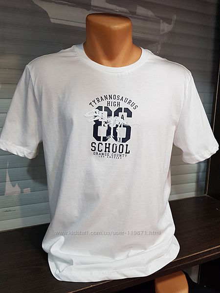 Мужские футболки