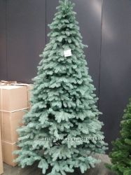 #6: ялина Еліт блакитна