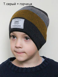 Детская демисезонная шапка для мальчика Arc от 3 до 7 лет 50 52 54