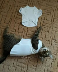 Печать на футболках и майках для собак и котов