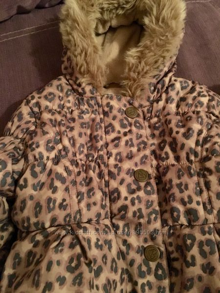 Куртка, курточка демисезонная Деми next