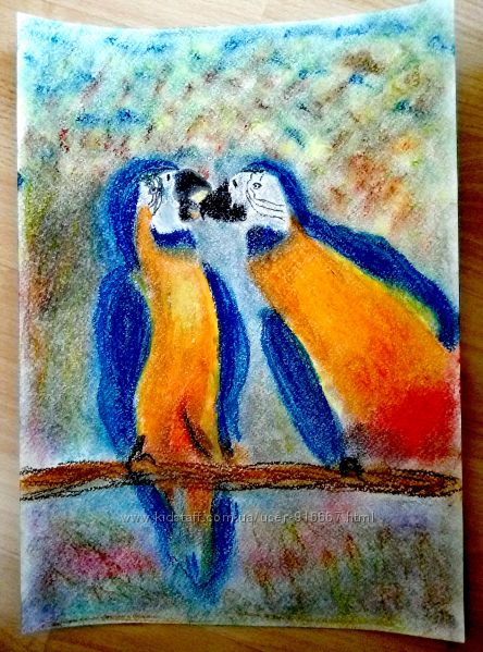 картина пастель ара попугай 