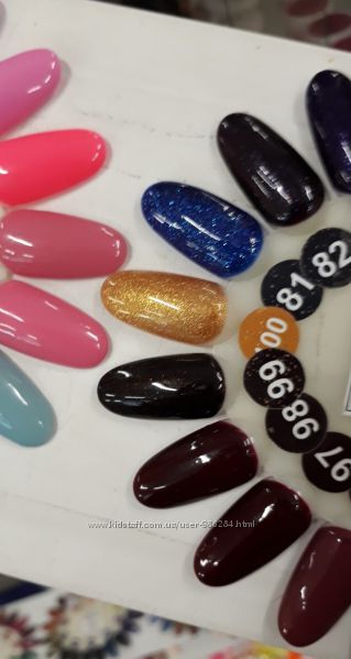 Папка для разных гель-лаков, реальные оттенки на ромашках.