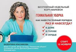 Валентина Красникова 3 курса Гениальная уборка 28 поток Инвестирование