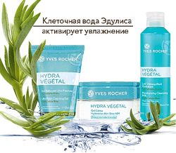 #6: HYDRA VEGETAL