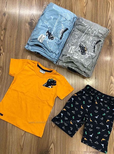 Комплект футболка и шорты для мальчика Hoity-toity 0522