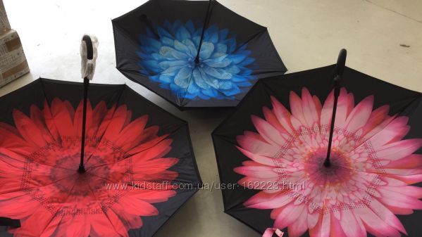 Зонты 