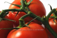 Семена помидор  высокоурожайный сорт 