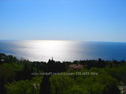 #10: Алупка жилье