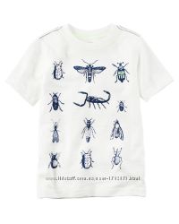 #2: 12m, 18m, 2Т